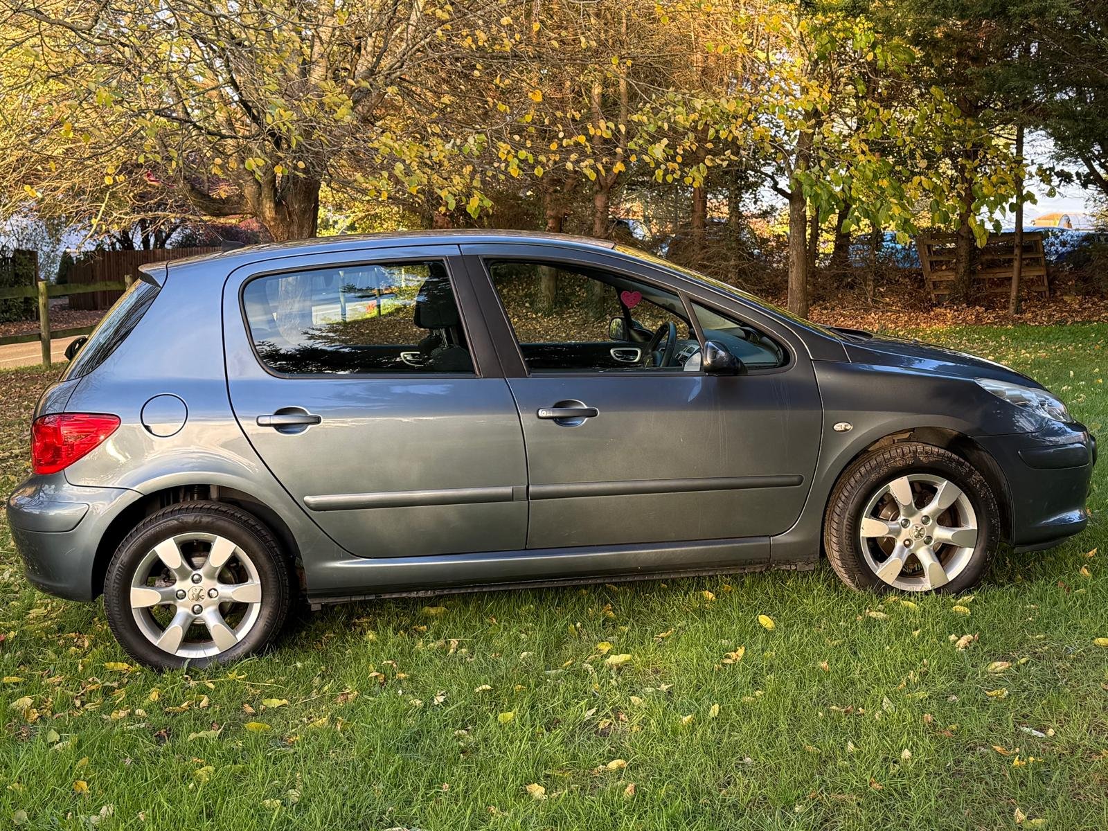 
								PEUGEOT 307 1.6 HDi 90 S 5dr full									