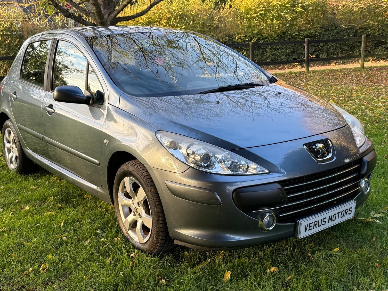 
								PEUGEOT 307 1.6 HDi 90 S 5dr full									