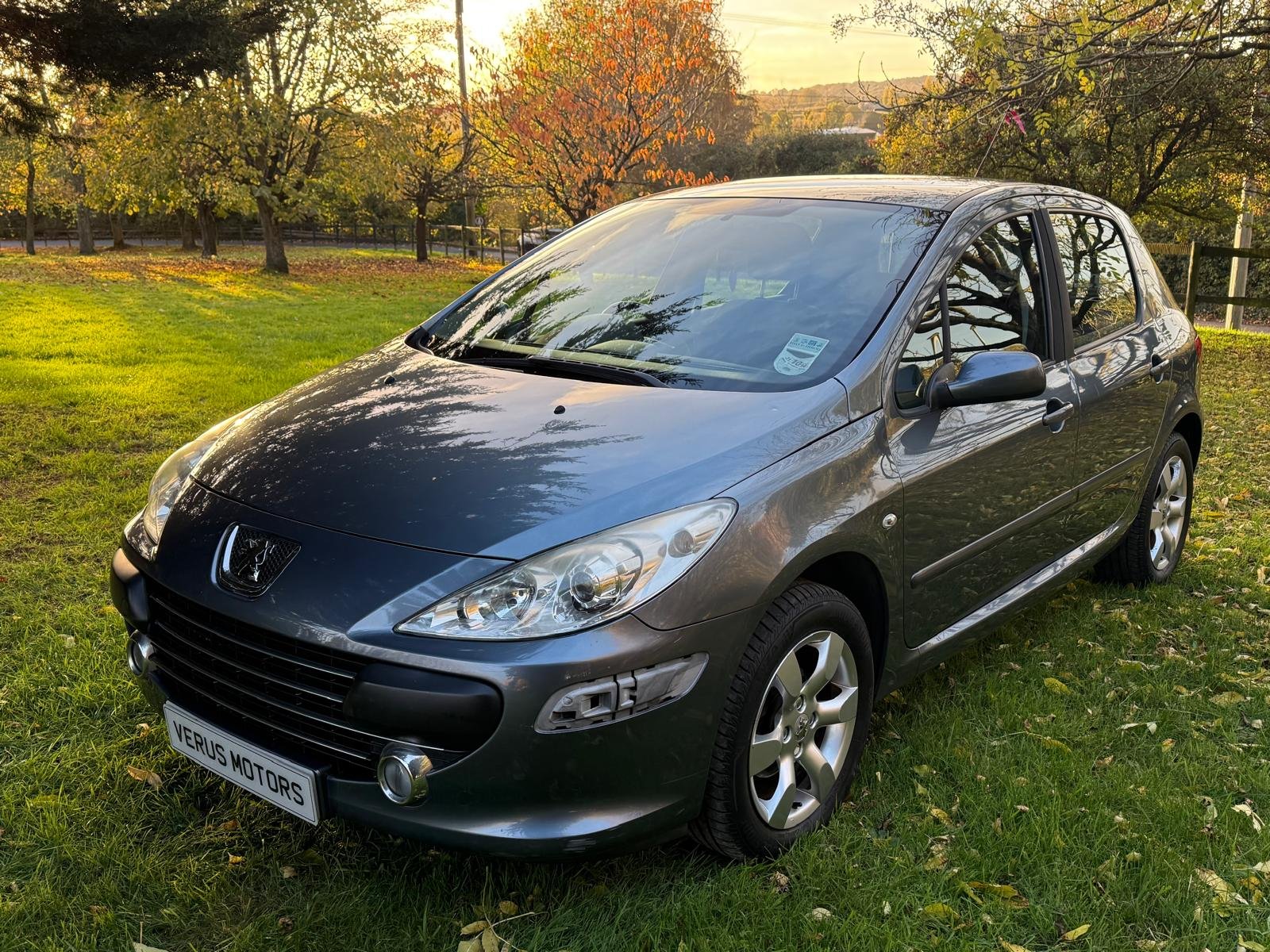 
								PEUGEOT 307 1.6 HDi 90 S 5dr full									