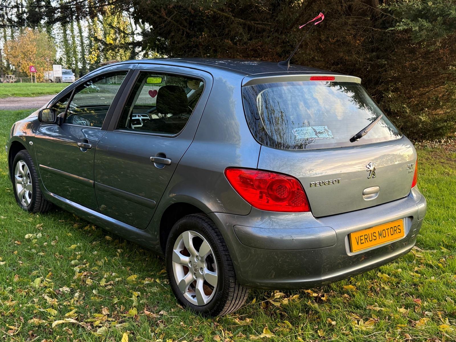 
								PEUGEOT 307 1.6 HDi 90 S 5dr full									