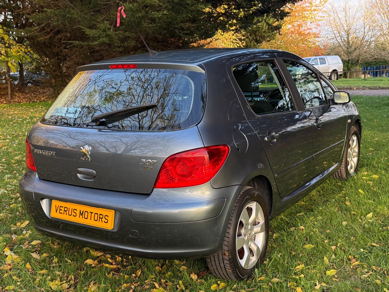 
								PEUGEOT 307 1.6 HDi 90 S 5dr full									