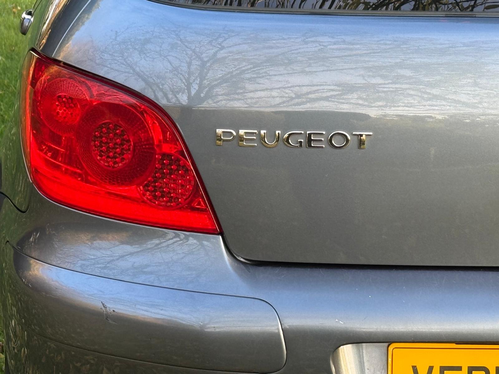 
								PEUGEOT 307 1.6 HDi 90 S 5dr full									