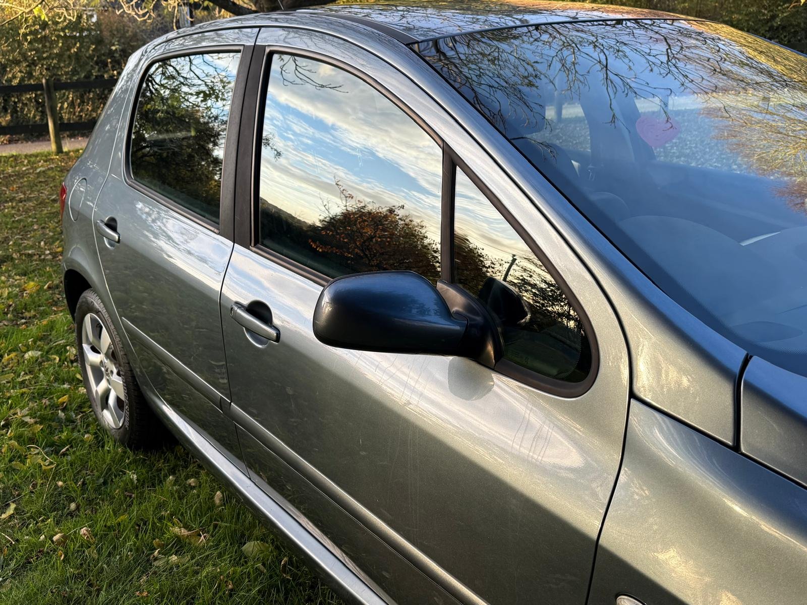 
								PEUGEOT 307 1.6 HDi 90 S 5dr full									