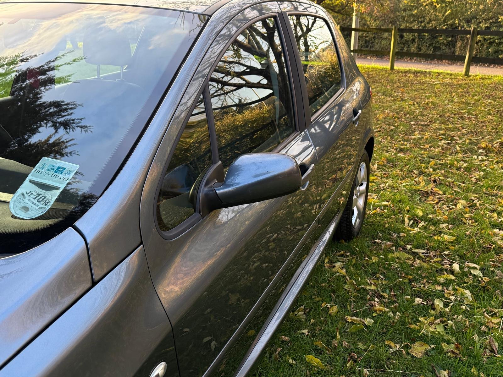 
								PEUGEOT 307 1.6 HDi 90 S 5dr full									